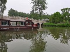 -溱湖国家湿地公园