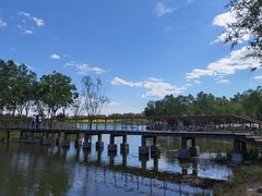 -东郊湿地公园