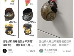 -八0一首创霍老七老螺蛳(万东镇龙景园店)