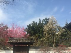 -清代四川贡院