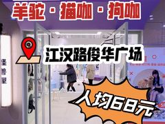 -怪兽屋·羊驼·猫咖·狗咖(俊华广场店)