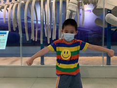 -斯坦星球AI编程·机器人科创·科学实验·信奥·思维·STEM·积木拼搭·竞赛考级(浦东联洋广场大拇指龙阳御桥中心)