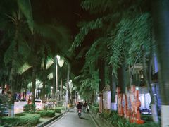 -抚仙湖生态石锅鱼野生菌(告庄店)