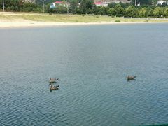 -海驴岛(荣成市)