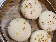 -新白鹿餐厅(百联中环店)