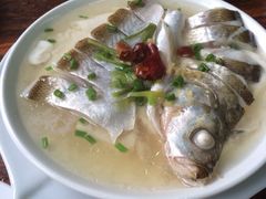 太湖白鱼-元泰酒店
