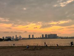 -瑶湖郊野森林公园