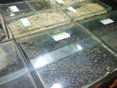 -刘艳明炒货(小心桥店)