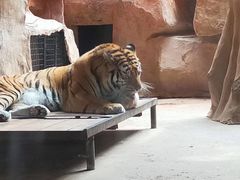 -鄂尔多斯野生动物园