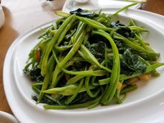 扁豆丝炒红薯尖-小土豆北方菜馆(方庄店)
