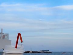 -日照海滨国家森林公园