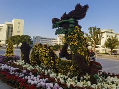 -上海大学(宝山校区)