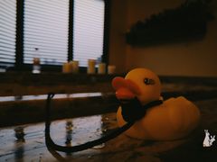 -春晖园度假酒店温泉