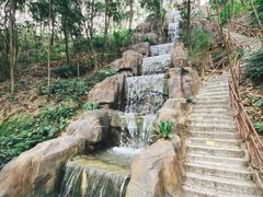 -广州市流溪河国家森林公园