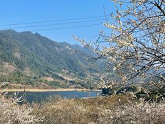 -广州市流溪河国家森林公园