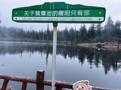 -瓦屋山景区