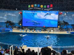 -泉城欧乐堡海洋极地世界