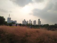 -映月湖公园