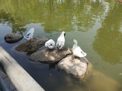 -莲湖公园
