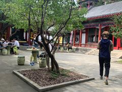 -宫事颐庭·老佛爷贵寿下午茶(颐和园店)