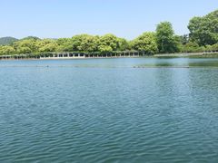 -西湖外事游船(花港观鱼码头)