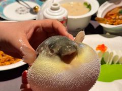 -肆月河豚·淮扬菜·湘菜(华天店)