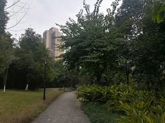 -重庆彩云湖湿地公园