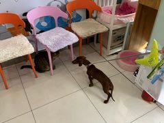 -纳吉亚猫专科动物医院博雅分院