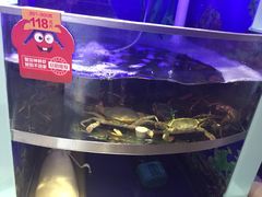 -七欣天(上海淮海路新尚广场店)
