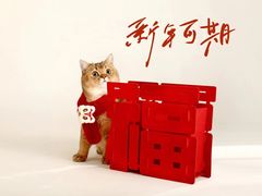 -瑞派宠物医院·CT影像中心·猫友好医院(奥城店)