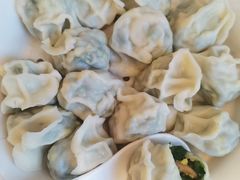 素三鲜韭菜鸡蛋虾仁饺子-大眼锅贴水饺(河东店)