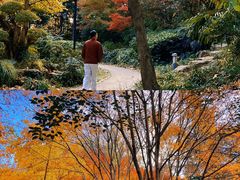 -中山公园