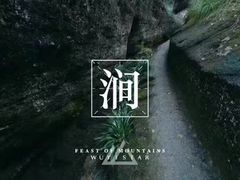 -华祥苑茶馆•国缤茶小蓝罐(普罗旺斯店)