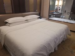 -郑州美盛喜来登大酒店