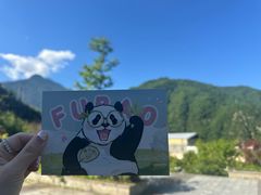 -卧龙中华大熊猫苑神树坪基地