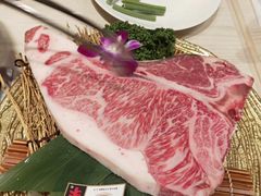 -俺的焼肉(銀座9丁目店)