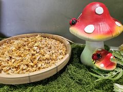 -花菇朵 ll 野生菌锅·精品滇菜(后沙峪店)