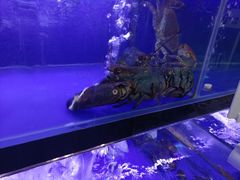 -有喜胶东小馆(超极合生汇太申祥和店)