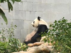 -石排湾郊野公园