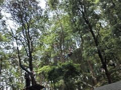 -衢州大荫山丛林飞越探险乐园