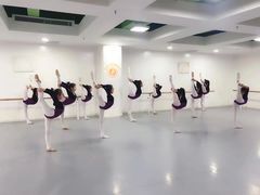 -西安小天鹅艺术团(金花路校区)