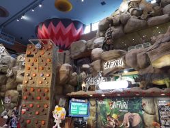 点击看大图 -卡通尼·Safari非洲探索乐园·生日会(金桥国际商业广场店)