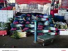 -江杨农产品批发市场