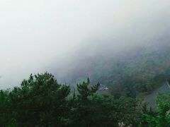 -石老人观光园