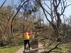 -青龙山国家森林公园