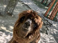 -水上乐园·欢乐世界