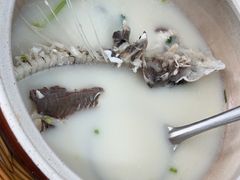 -天乐农家鱼头王(天目湖店)