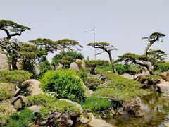 -罗红摄影艺术馆