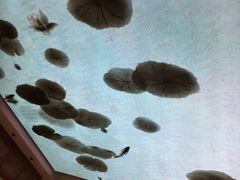 -桃园眷村(万象天地店)