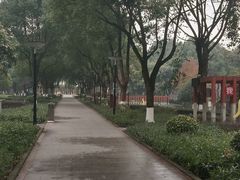 -重庆彩云湖湿地公园